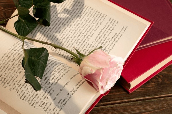 Книжное кафе «Я знаю силу слов…»