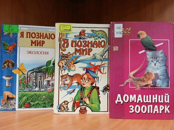 Марафон по внедрению экопривычек «Экопривычки и как стать эко-френдли»