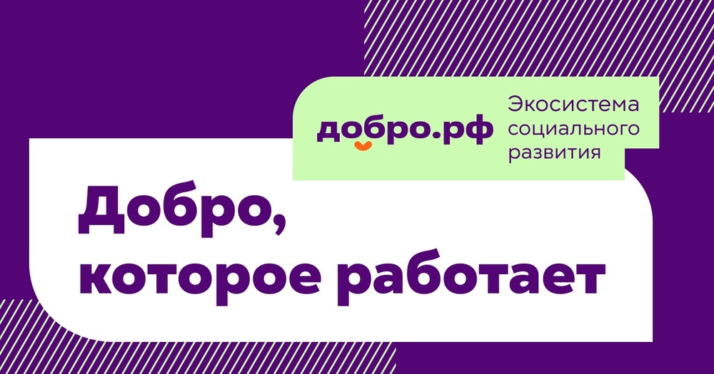 Региональная Школа волонтёра