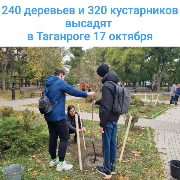 Осенняя акция «День древонасаждения» в Таганроге