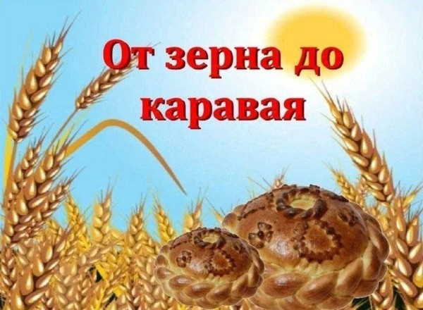 Познавательное путешествие «От зерна до каравая»