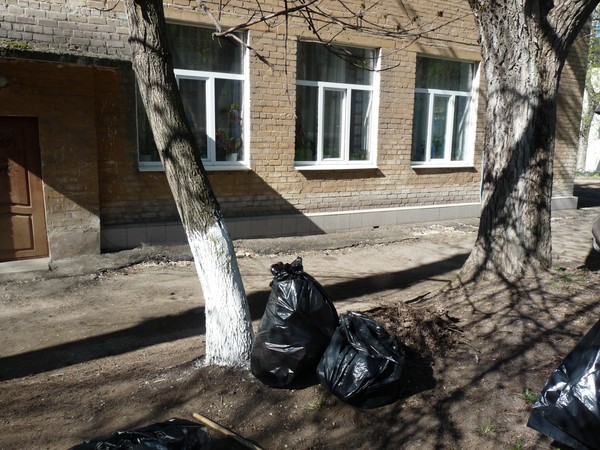 Вместе лучше – чистота в школе