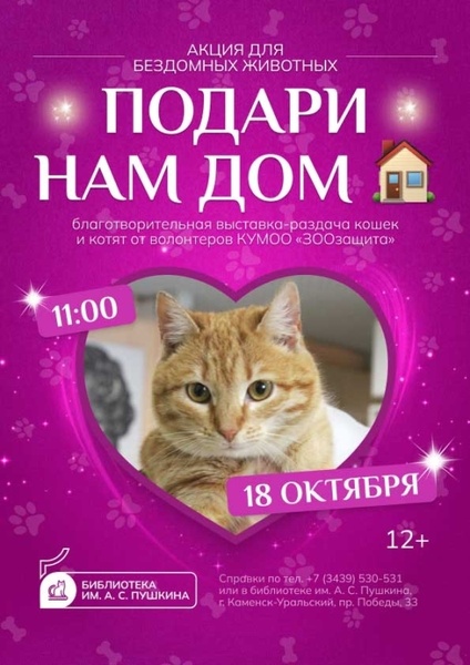 Благотворительная выставка-раздача кошек и котят в Пушкинке