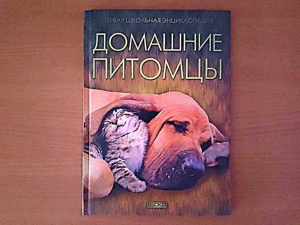 Лестница знаний «В мире животных»