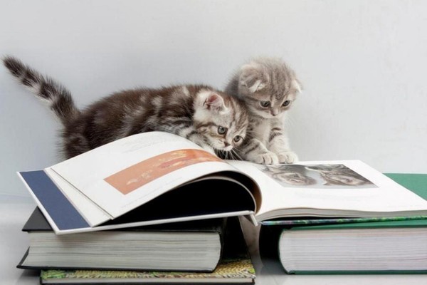 Виртуальная презентация «Наши питомцы на страницах книг»