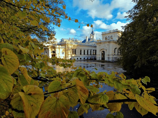 Ярмарка льготных билетов к 315-летию Ференца Листа