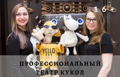 Профессиональный театр кукол