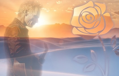 Desert Rose Symphony