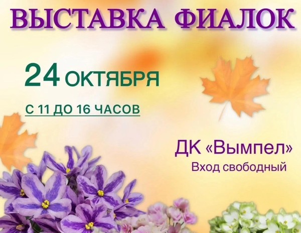 Выставка фиалок