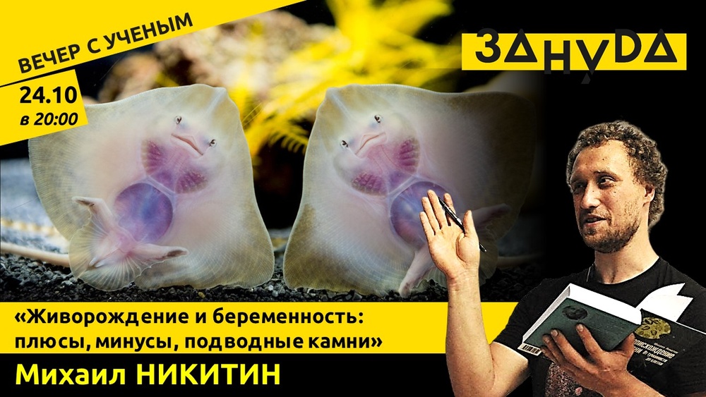 Живорождение и беременность: плюсы, минусы, подводные камни