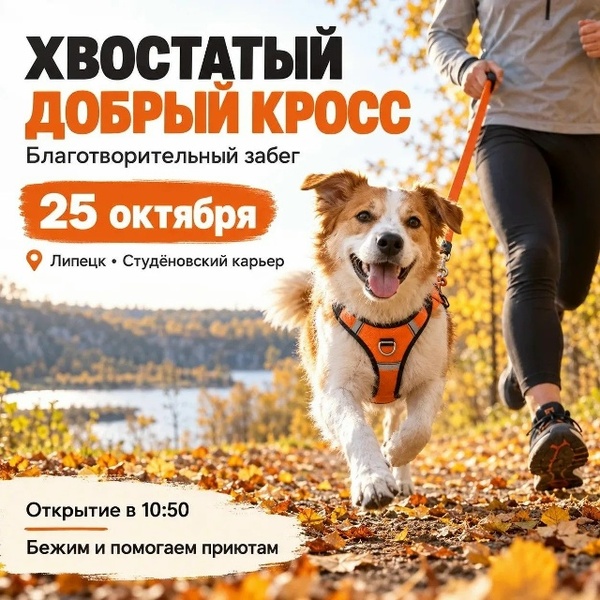 Хвостатый добрый кросс