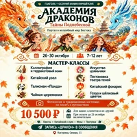 Академия драконов: Тайны Поднебесной