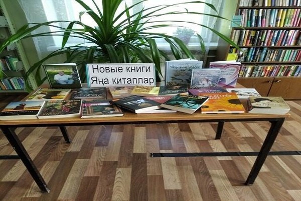 Информационный час «Караван новых книг»