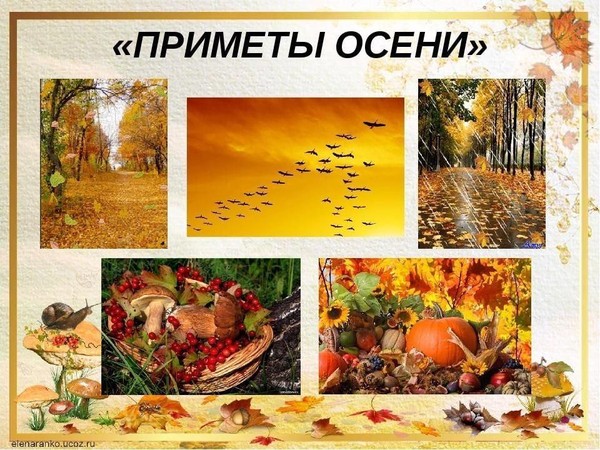 Познавательно-развивающая программа «Народные приметы Осени»