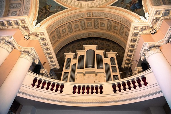 ORGAN