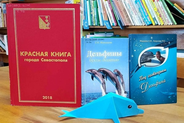 Познавательная игра «Сокровища Чёрного моря»