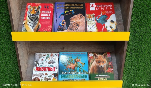 Эко-мозаика «Про зверей и птиц – обитателей книжных страниц»