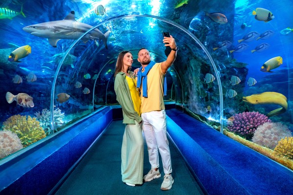 Океанариум Sochi Discovery World Aquarium