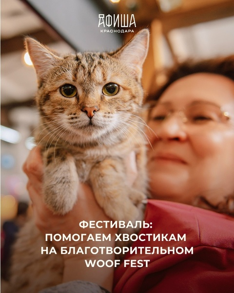 Благотворительный фестиваль Woof Fest