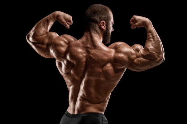 Первенство и чемпионат России по бодибилдингу