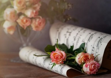 17 Международный конкурс исполнителей на духовых и ударных инструментах. Номинация «гобой», 2 тур