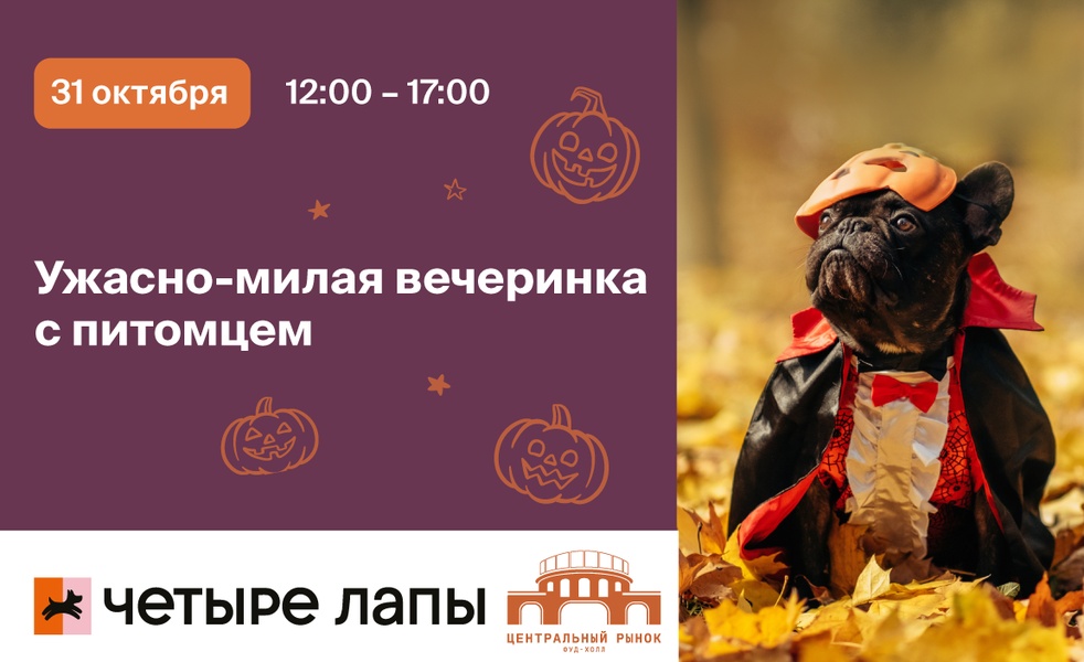 Ужасно-милая вечеринка с питомцем