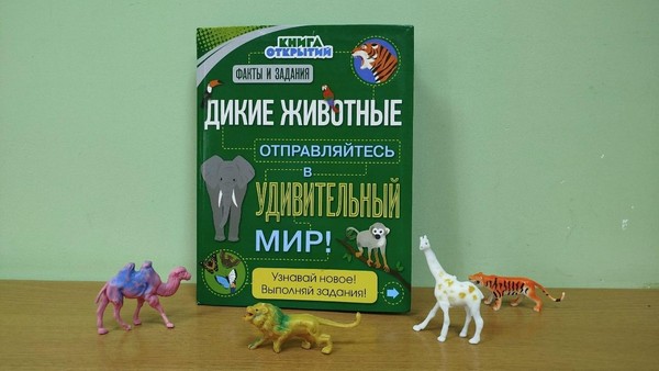 Познавательная программа «Соседи по планете»