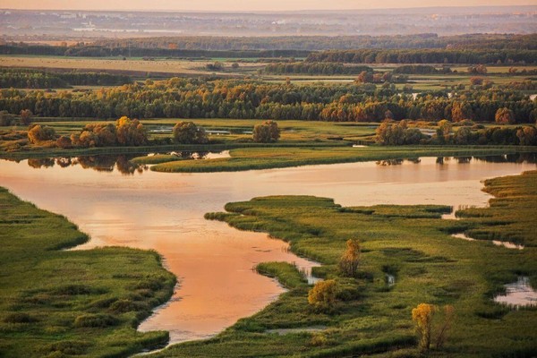«Природа родного края»