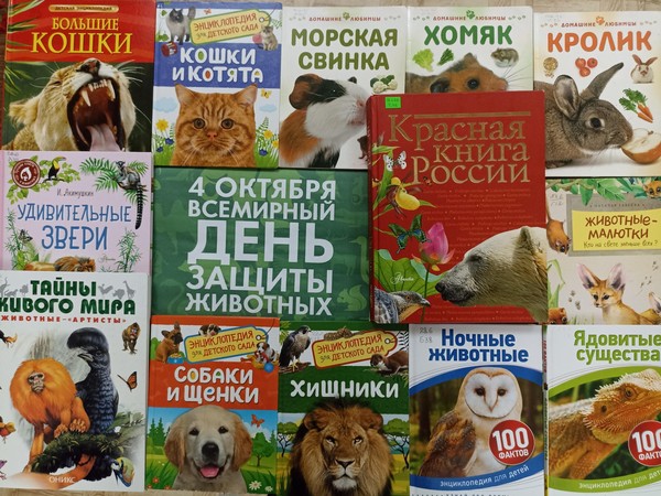 Тематический час « Дикие домашние все такие важные»