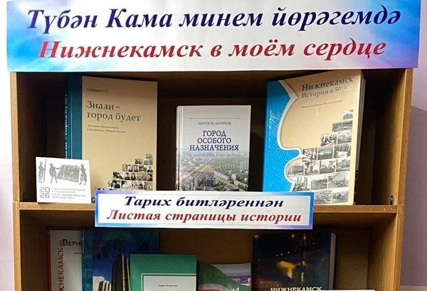 Обзор книжно-иллюстративной выставки «Нижнекамск в моём сердце»