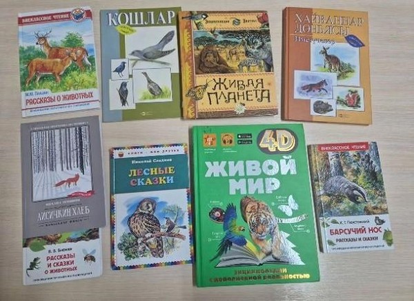 Экологический час «Природа и человек: невидимые нити»