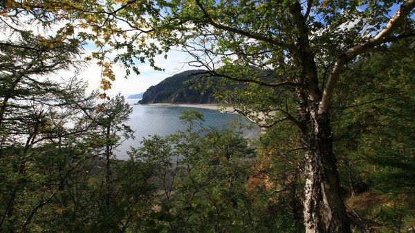 Интеллектуальная программа «Широка страна моя родная»
