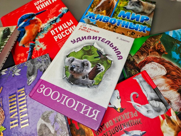 Квиз «Тайны звериного мира»