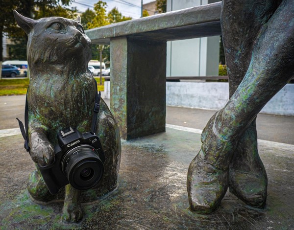 Кружок «Фотоквест. В поисках идеального кадра»