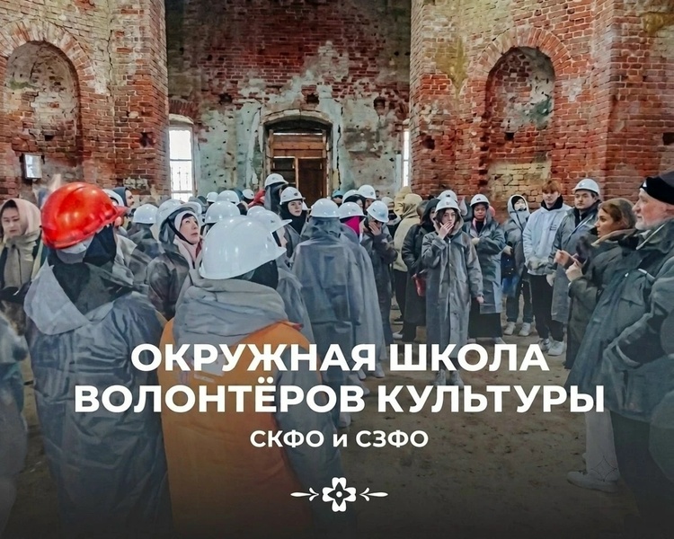 Окружная школа волонтёров культуры