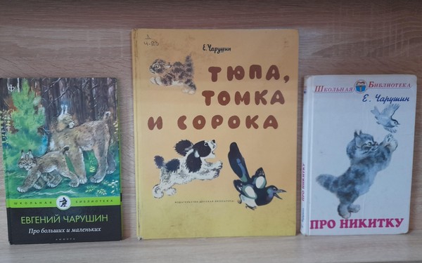 Тематическая полка «Волшебный мир зверей и птиц»