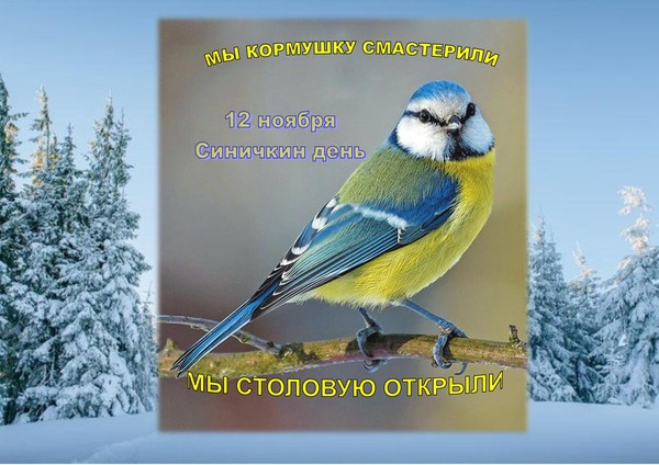 Экологический час «Мы кормушку смастерили, мы столовую открыли»