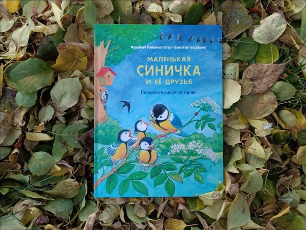 Познавательный час «В гости к синичке»