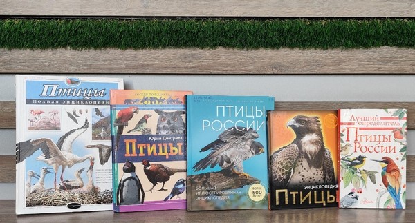 Эко-панорама «Синичка-невеличка»