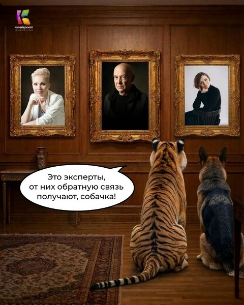 Всероссийский хореографический проект «Танцы.ТОП» в Липецке