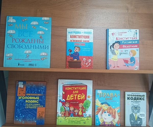 Выставка – просмотр книг «Наши дети защищены законом»