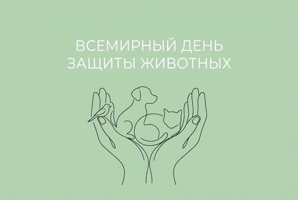Интерактивная беседа «Очень важные жители планеты», приуроченная ко Дню защиты животных