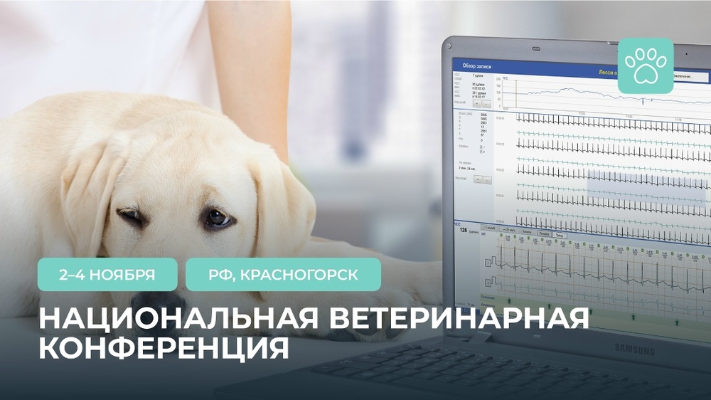 Национальная ветеринарная конференция (NVC)