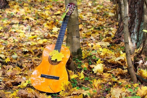 Концерт бардовской песни «За полчаса до зимы»