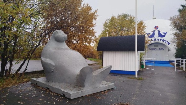 Выступление в Мурманском Океанариуме