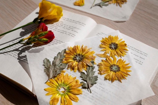 Мастер-класс по изготовлению книжной закладки «Воспоминания о лете»