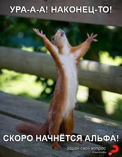 Открытие второго сезона дискуссионного клуба «Альфа»
