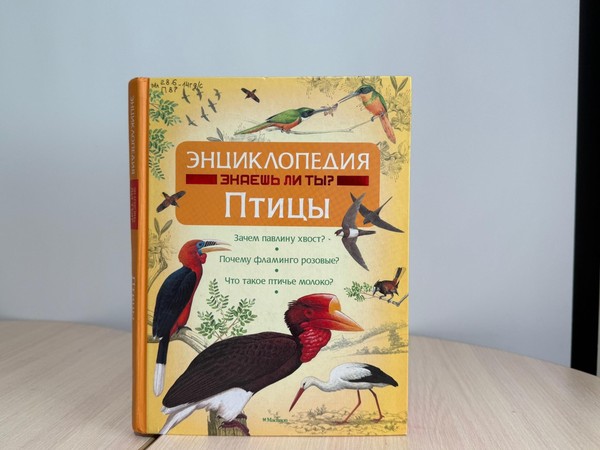 Эко-лото «Удивительный мир птиц»