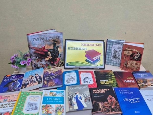 Час информации «Мир новых книг»