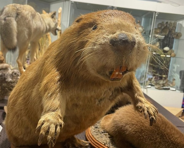 Мы — то, что мы едим